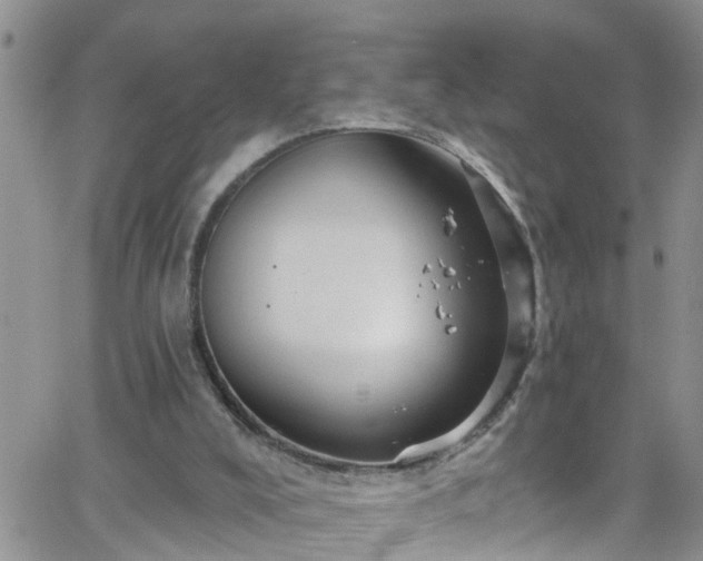 X0000066090008200603171107