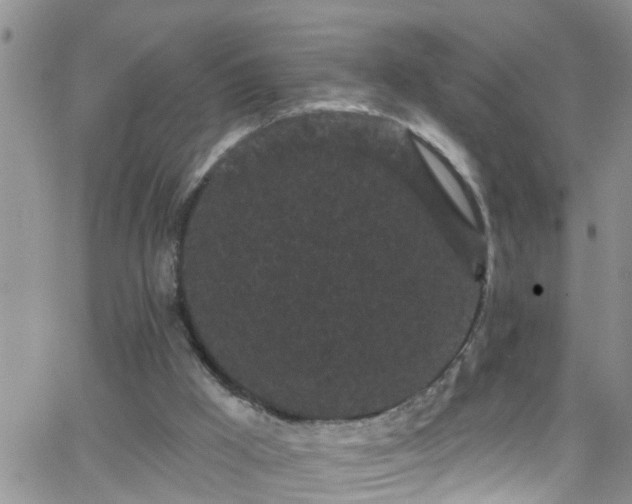 X0000066090009200603171107