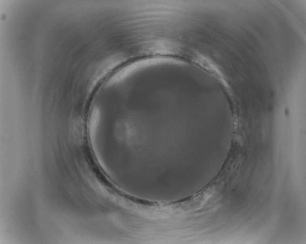 X0000066090012200603171107