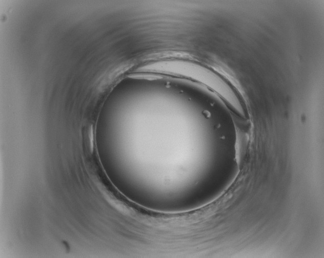 X0000066090013200603171107