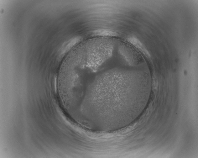 X0000066090014200603171107