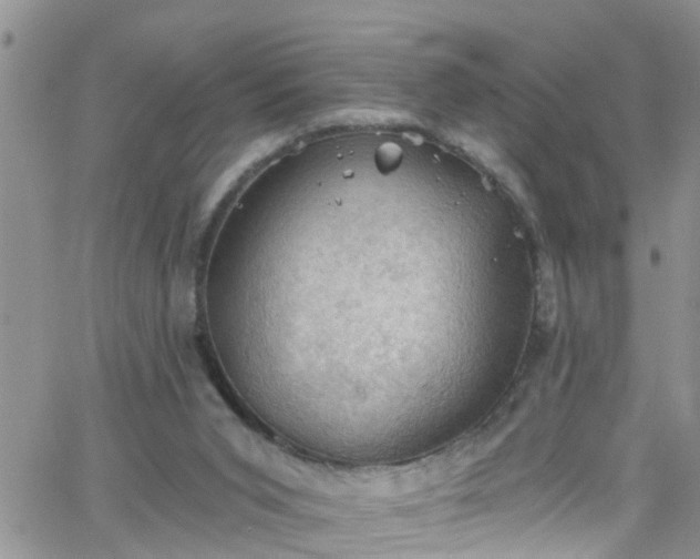 X0000066090015200603171107