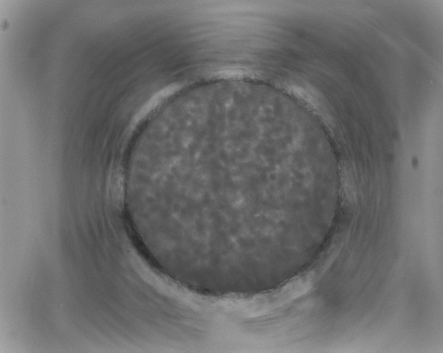 X0000066090016200603171107