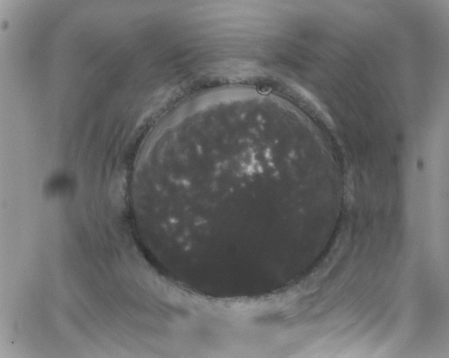 X0000066090018200603171107