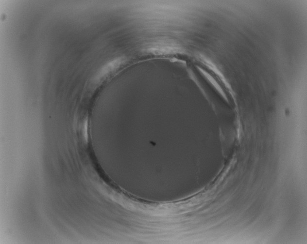 X0000066090019200603171107