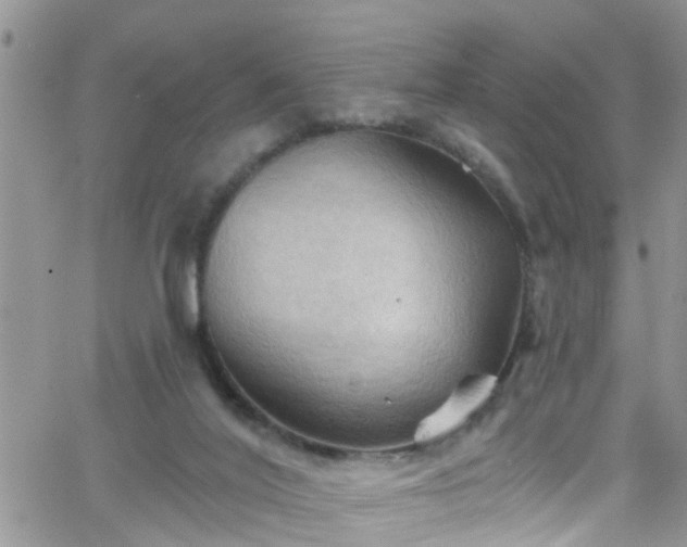 X0000066090020200603171107