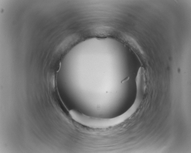 X0000066090021200603171107