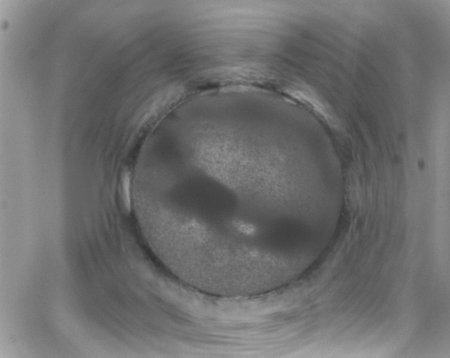 X0000066090022200603171107