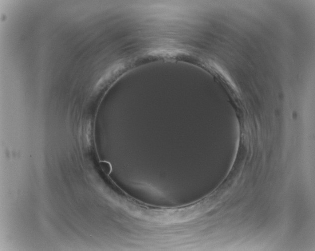 X0000066090023200603171107