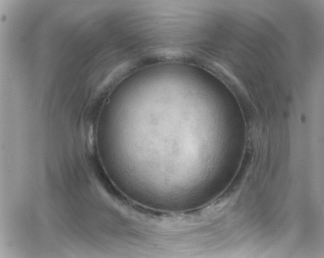 X0000066090024200603171107