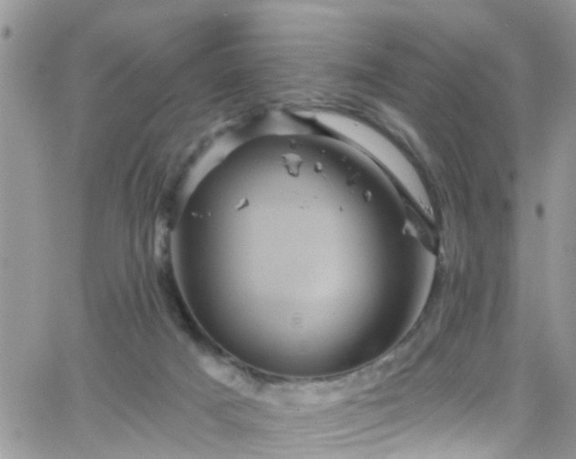 X0000066090025200603171107