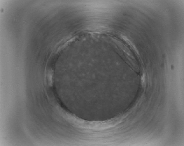 X0000066090026200603171107