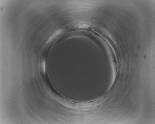 X0000066090027200603171107