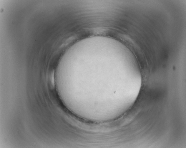 X0000066090028200603171107