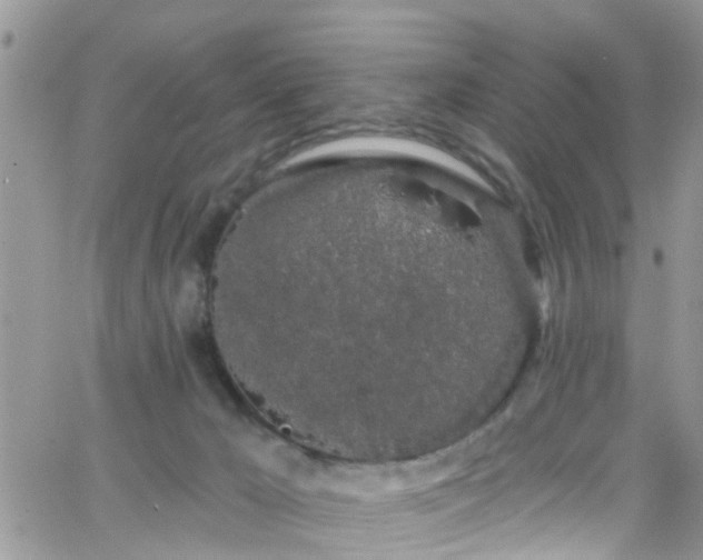 X0000066090029200603171106