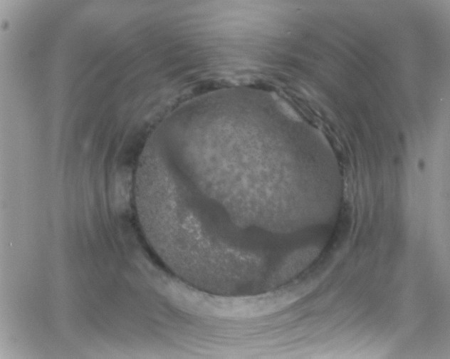 X0000066090030200603171106