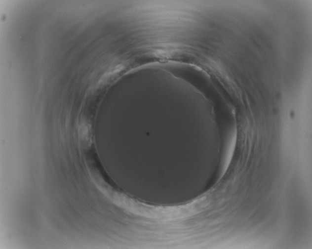 X0000066090031200603171106