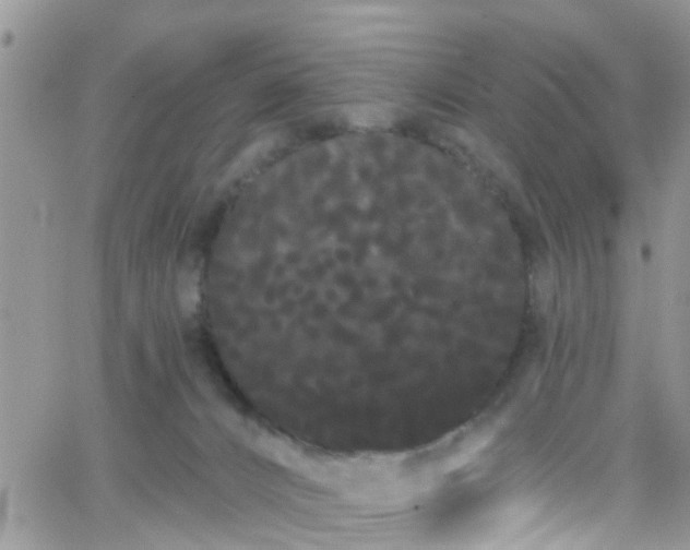 X0000066090032200603171106