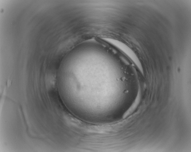 X0000066090033200603171106