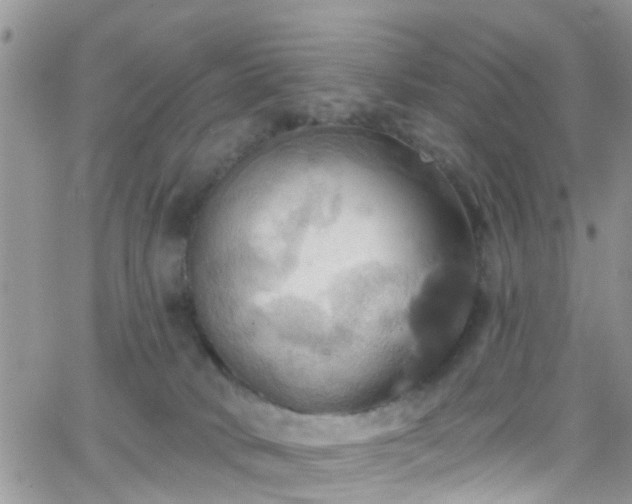 X0000066090034200603171106