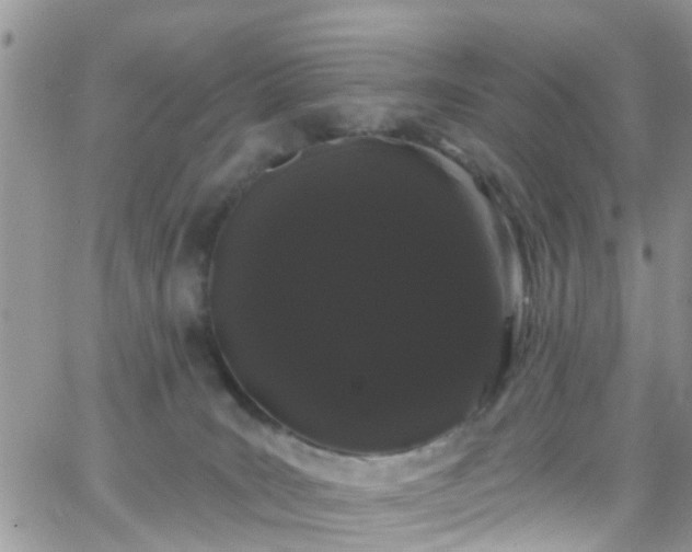 X0000066090035200603171106