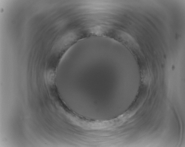 X0000066090036200603171106