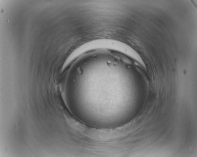 X0000066090037200603171106