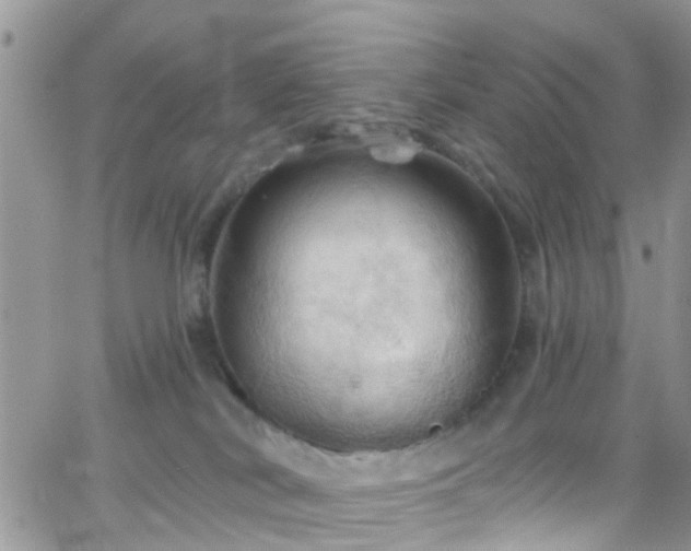 X0000066090038200603171106