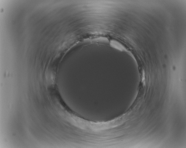 X0000066090039200603171106