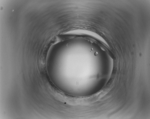 X0000066090040200603171106