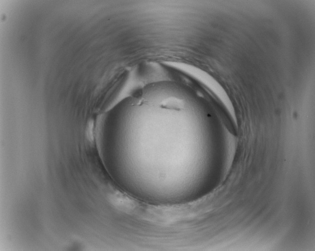 X0000066090041200603171106