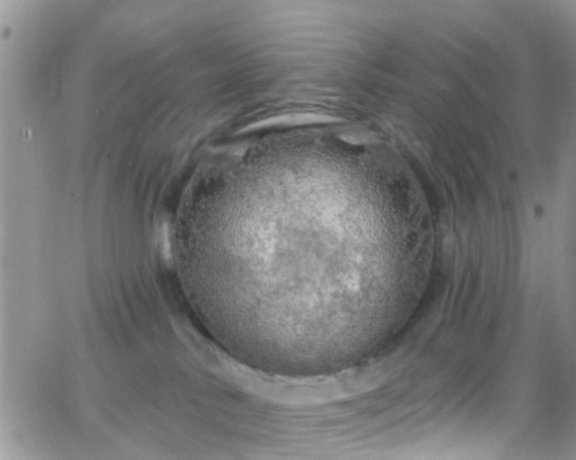 X0000066090042200603171106