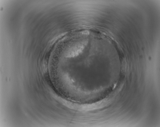 X0000066090043200603171106