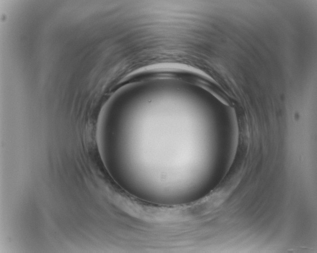 X0000066090044200603171106