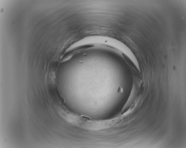 X0000066090045200603171106