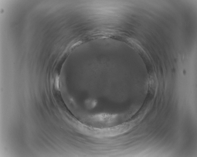 X0000066090046200603171106