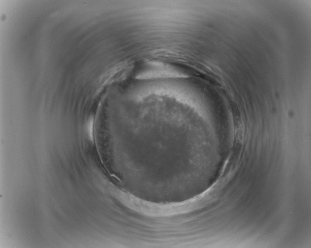 X0000066090047200603171106