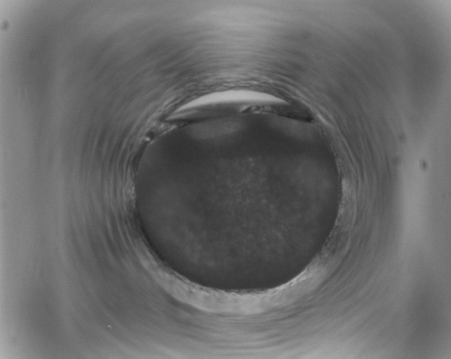 X0000066090048200603171106