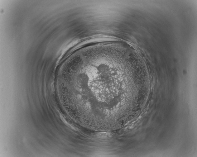 X0000066090050200603171105