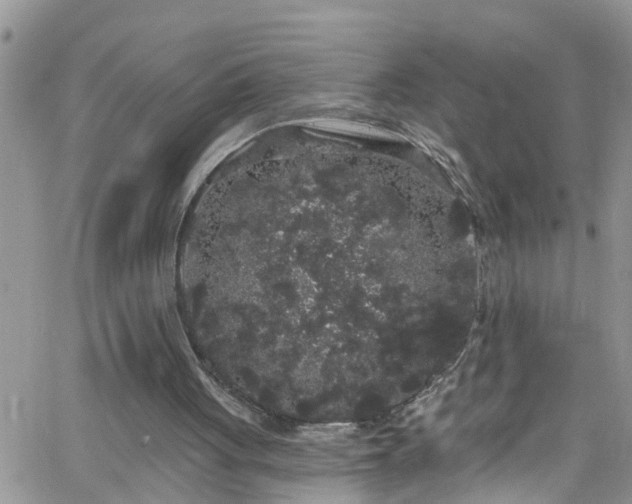 X0000066090051200603171105