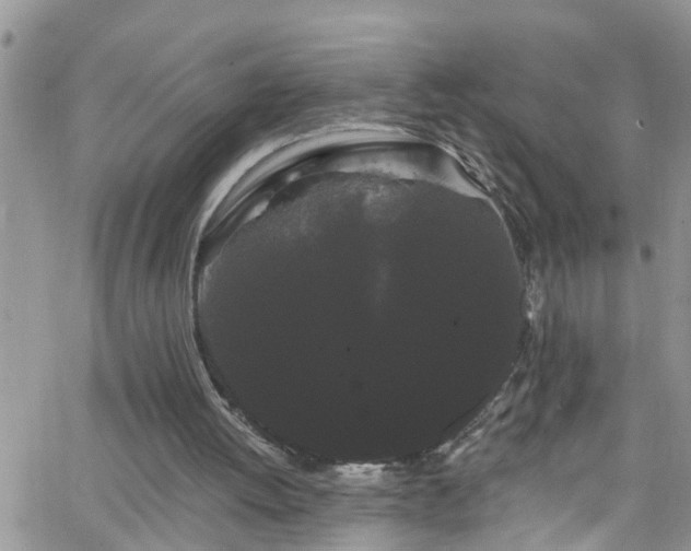 X0000066090052200603171105