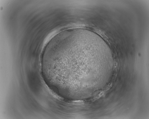 X0000066090053200603171105