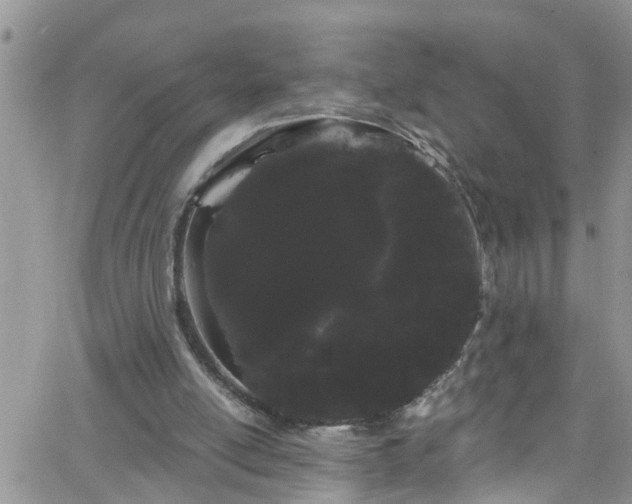 X0000066090054200603171105