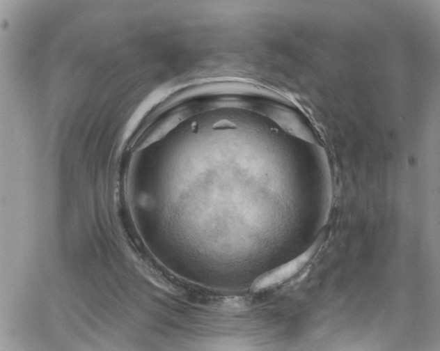 X0000066090056200603171106