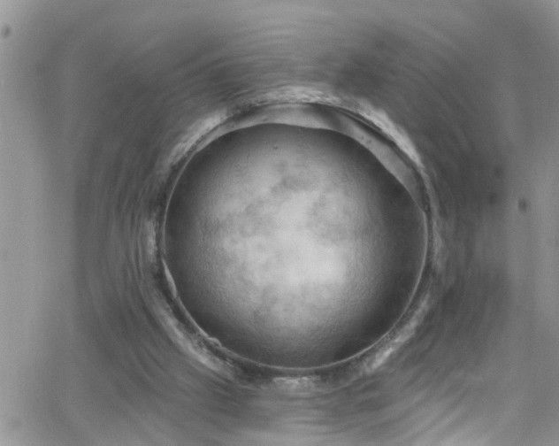 X0000066090057200603171106