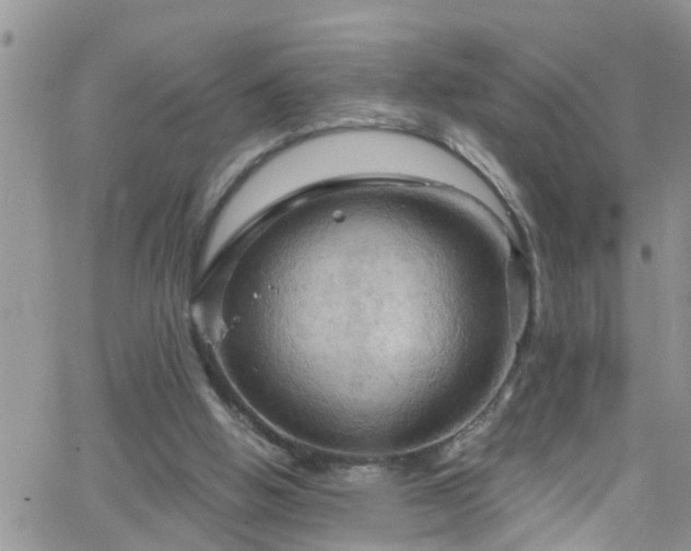 X0000066090058200603171106