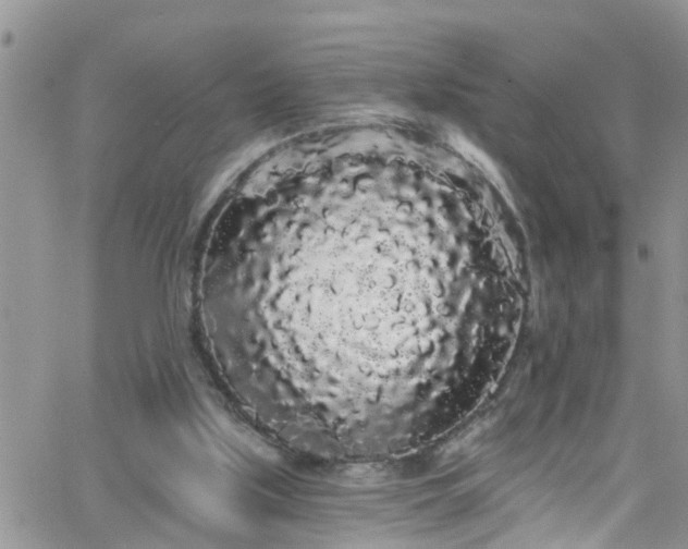 X0000066090059200603171106