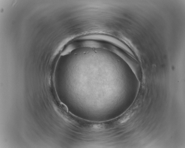 X0000066090060200603171106