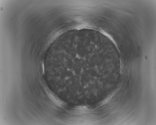 X0000066090061200603171106