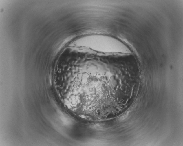 X0000066090062200603171106